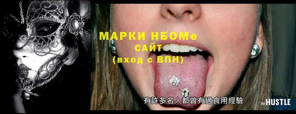 гидра Инта