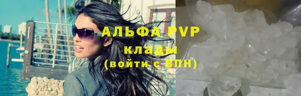 стаф Зеленокумск