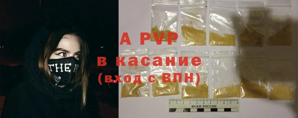 стаф Зеленокумск