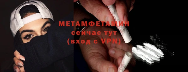 гидра Инта