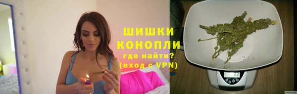 мдпв Инсар