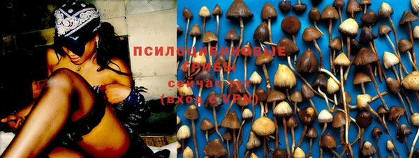 ГАЛЛЮЦИНОГЕННЫЕ ГРИБЫ Зерноград