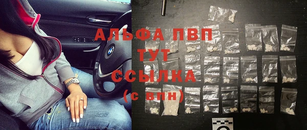 стаф Зеленокумск