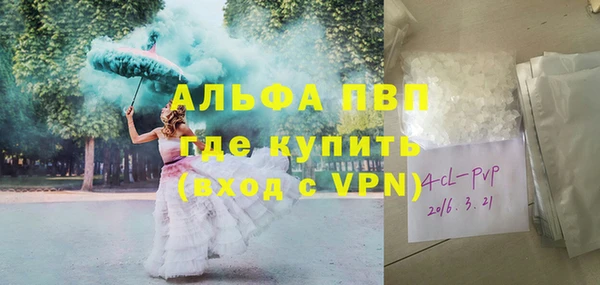 гидра Инта